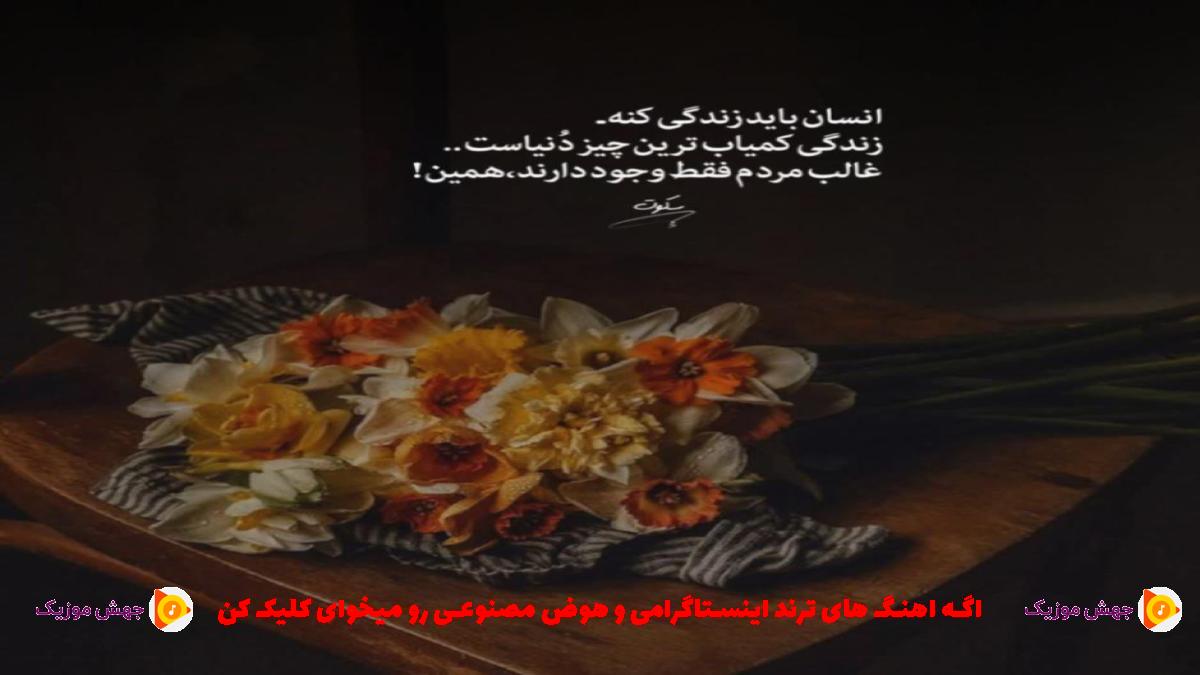 دانلود آهنگ سلامتی بی کسی از بهرام و شایع و تتلو و رامین تجنگی و حصین و سورنا